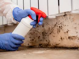 Best Real Estate Mold Inspection  in , UT